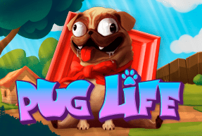 Pug Life